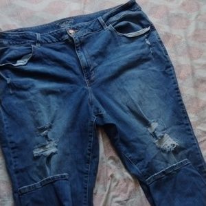 MAURICES High Rise Distressed Jeans 24w regular